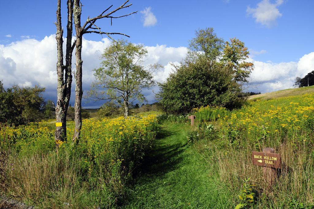 Canaan Valley Resort State Park Davis Exteriér fotografie