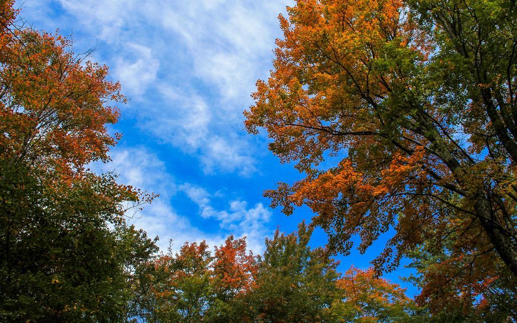 Canaan Valley Resort State Park Davis Exteriér fotografie