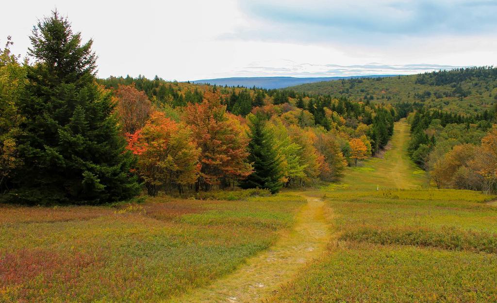 Canaan Valley Resort State Park Davis Exteriér fotografie