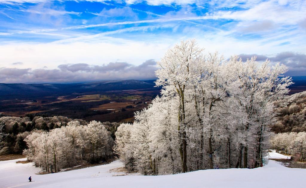 Canaan Valley Resort State Park Davis Exteriér fotografie