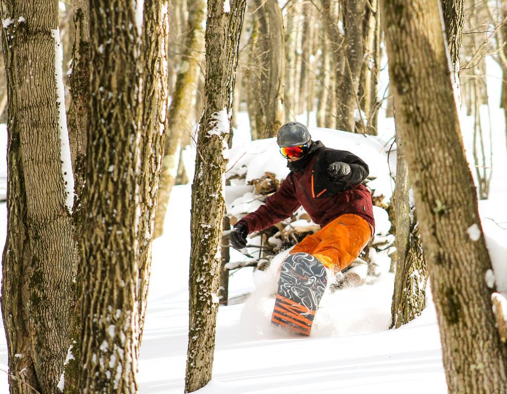 Canaan Valley Resort State Park Davis Exteriér fotografie
