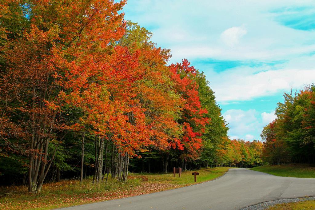 Canaan Valley Resort State Park Davis Exteriér fotografie