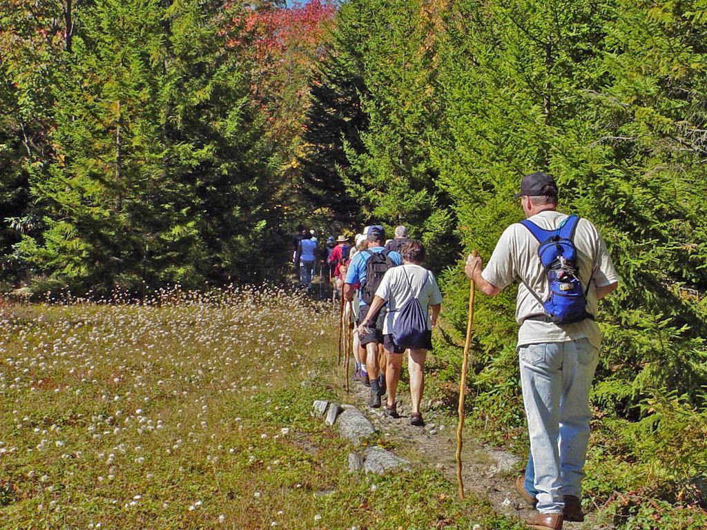 Canaan Valley Resort State Park Davis Exteriér fotografie